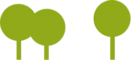 Bomen bos